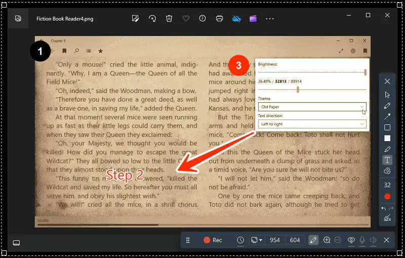 Icecream Screen Recorder 3